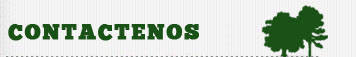 Visitenos